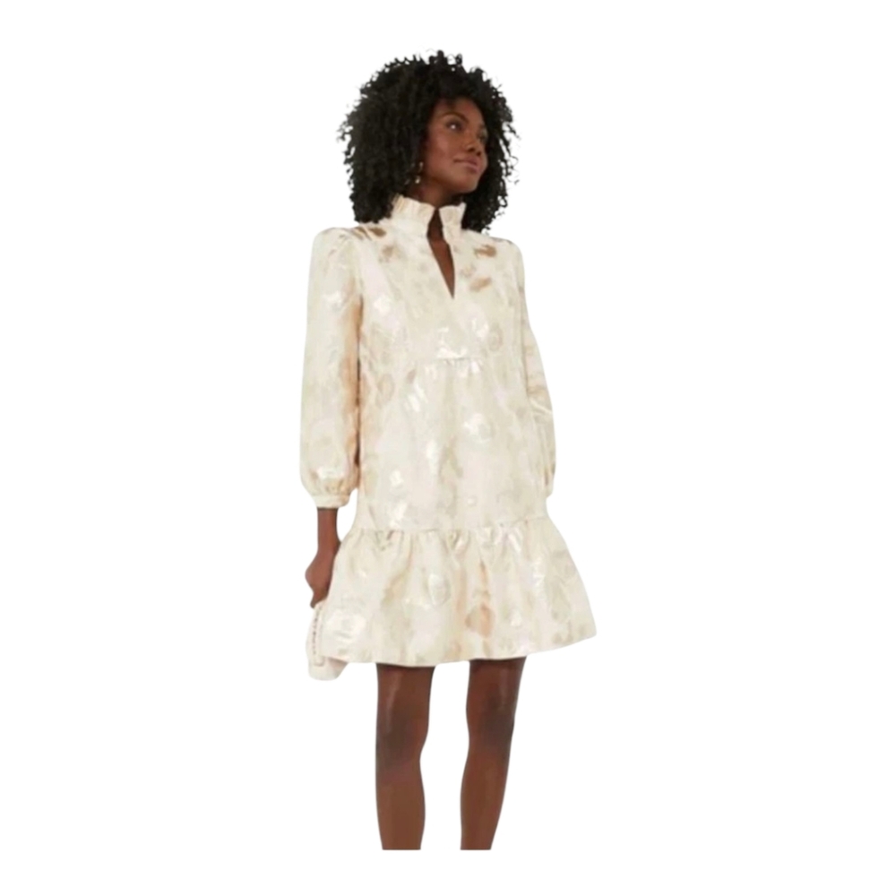 Tuckernuck NEW Bellini Fil Coupe Champagne Palmerston Formal Mini Dress Size S